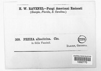 Image Associated With the Occurrence